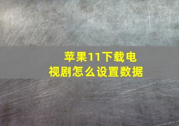 苹果11下载电视剧怎么设置数据