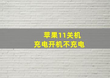 苹果11关机充电开机不充电