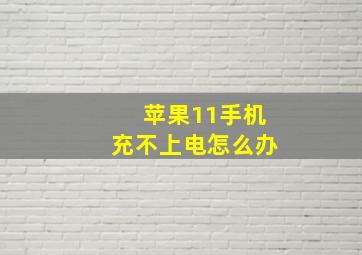 苹果11手机充不上电怎么办