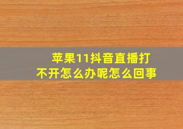 苹果11抖音直播打不开怎么办呢怎么回事