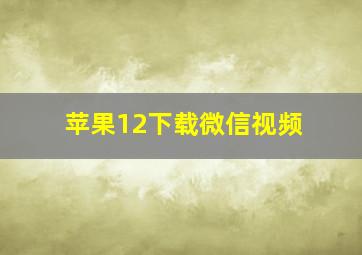 苹果12下载微信视频