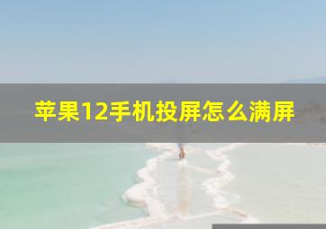 苹果12手机投屏怎么满屏