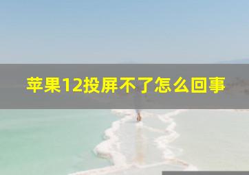 苹果12投屏不了怎么回事