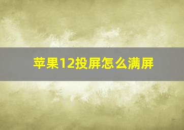 苹果12投屏怎么满屏