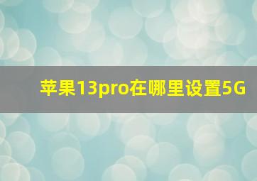 苹果13pro在哪里设置5G