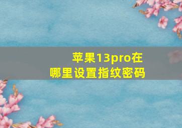 苹果13pro在哪里设置指纹密码