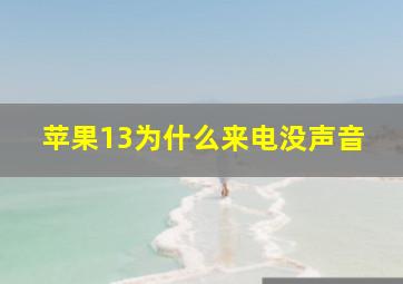 苹果13为什么来电没声音