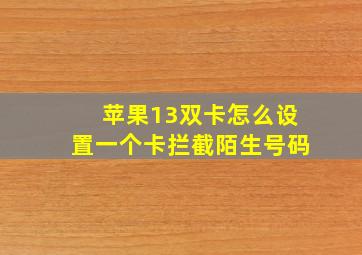 苹果13双卡怎么设置一个卡拦截陌生号码