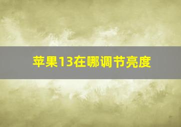 苹果13在哪调节亮度