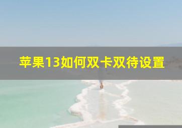 苹果13如何双卡双待设置