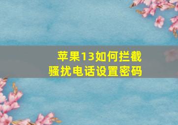 苹果13如何拦截骚扰电话设置密码