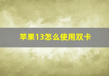 苹果13怎么使用双卡