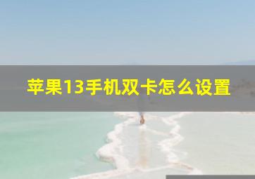 苹果13手机双卡怎么设置