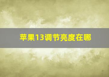 苹果13调节亮度在哪