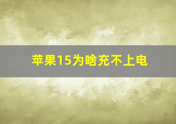 苹果15为啥充不上电