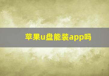 苹果u盘能装app吗