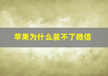 苹果为什么装不了微信