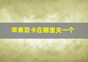 苹果双卡在哪里关一个