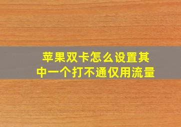 苹果双卡怎么设置其中一个打不通仅用流量