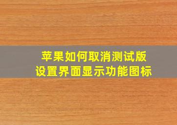 苹果如何取消测试版设置界面显示功能图标