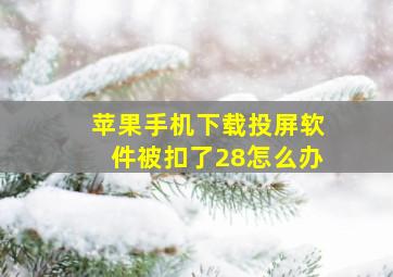 苹果手机下载投屏软件被扣了28怎么办