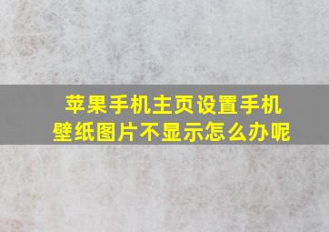 苹果手机主页设置手机壁纸图片不显示怎么办呢