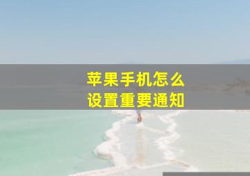 苹果手机怎么设置重要通知