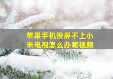 苹果手机投屏不上小米电视怎么办呢视频