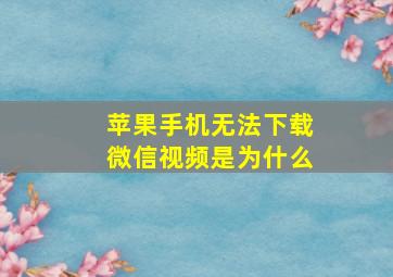 苹果手机无法下载微信视频是为什么