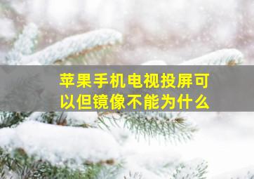 苹果手机电视投屏可以但镜像不能为什么