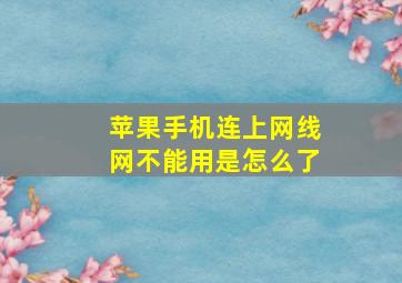 苹果手机连上网线网不能用是怎么了