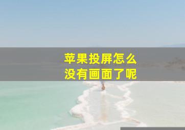 苹果投屏怎么没有画面了呢