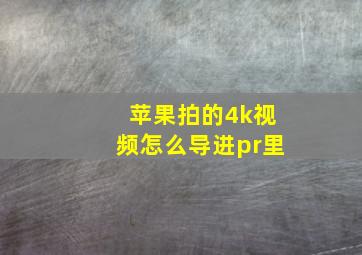 苹果拍的4k视频怎么导进pr里