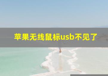 苹果无线鼠标usb不见了