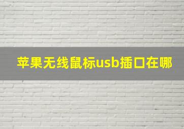 苹果无线鼠标usb插口在哪