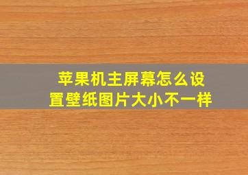 苹果机主屏幕怎么设置壁纸图片大小不一样