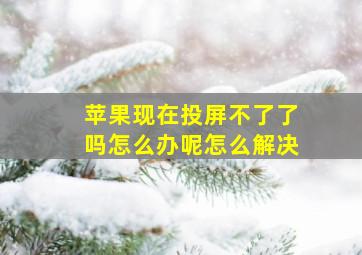 苹果现在投屏不了了吗怎么办呢怎么解决