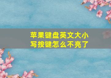 苹果键盘英文大小写按键怎么不亮了