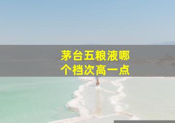 茅台五粮液哪个档次高一点