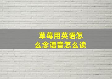 草莓用英语怎么念语音怎么读