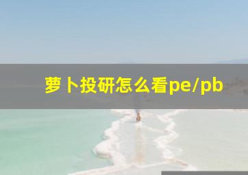 萝卜投研怎么看pe/pb