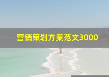 营销策划方案范文3000