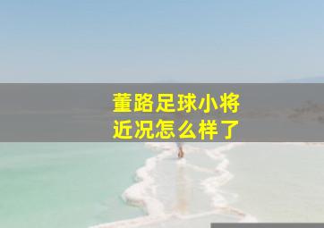 董路足球小将近况怎么样了