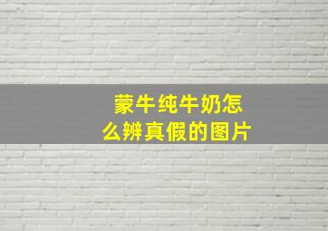 蒙牛纯牛奶怎么辨真假的图片