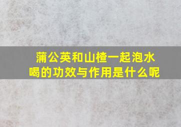 蒲公英和山楂一起泡水喝的功效与作用是什么呢