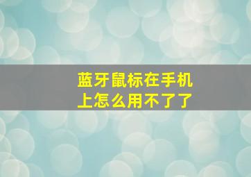 蓝牙鼠标在手机上怎么用不了了