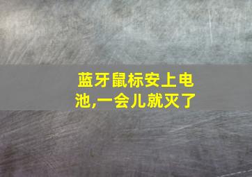 蓝牙鼠标安上电池,一会儿就灭了