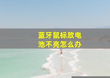 蓝牙鼠标放电池不亮怎么办