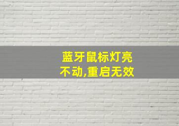 蓝牙鼠标灯亮不动,重启无效