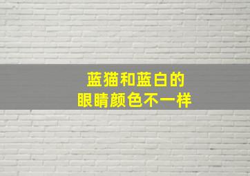 蓝猫和蓝白的眼睛颜色不一样